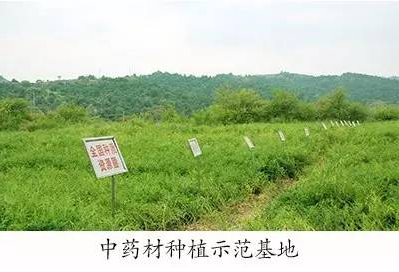 一定发集团