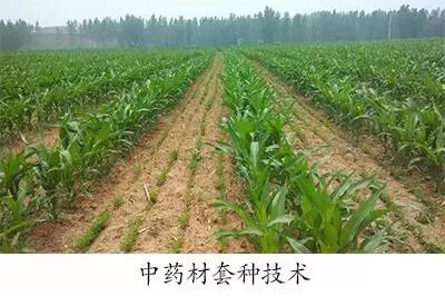 一定发集团