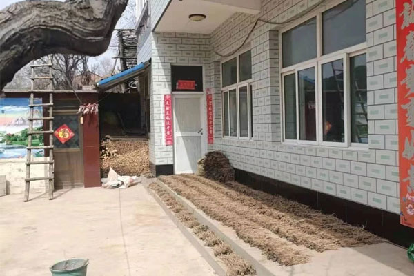 中药材产业 中药材种植 一定发集团