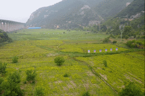 中药材产业 中药材种植 一定发集团