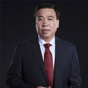 一定发集团董事长李安平