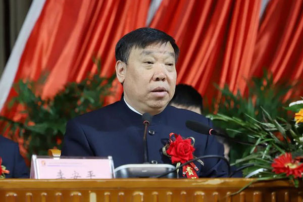 一定发集团董事长李安平